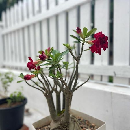 Moukdavan Guesthouse 루앙프라방 외부 사진